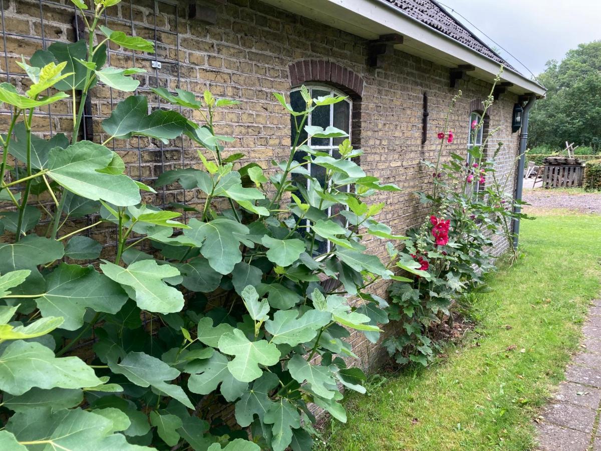 Duerswald Apartment Wijnjewoude Bagian luar foto